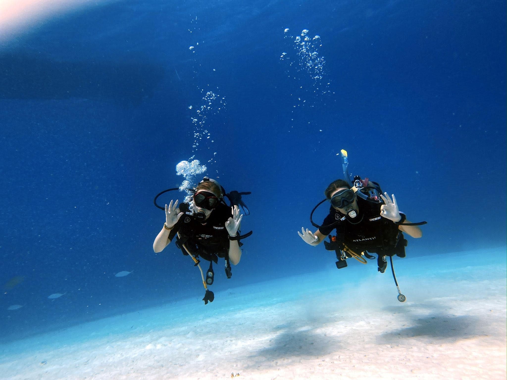 Duiken op Bonaire: het beste rif ter wereld ligt voor je deur
