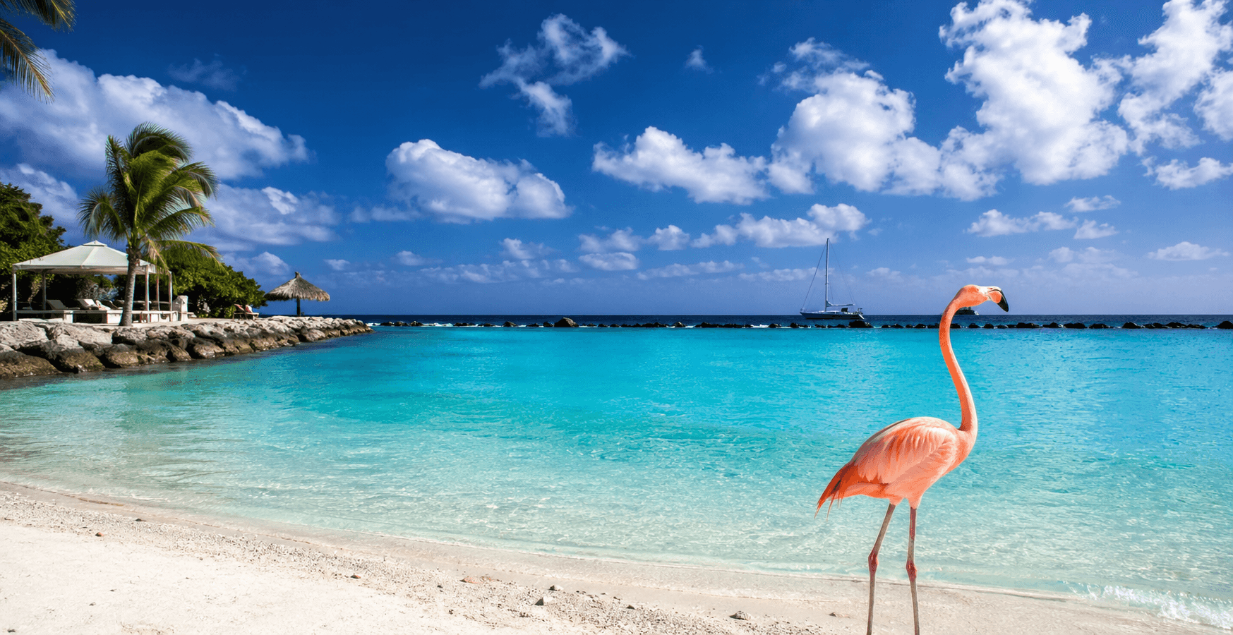 Tropisch strand op Bonaire met turquoise zee