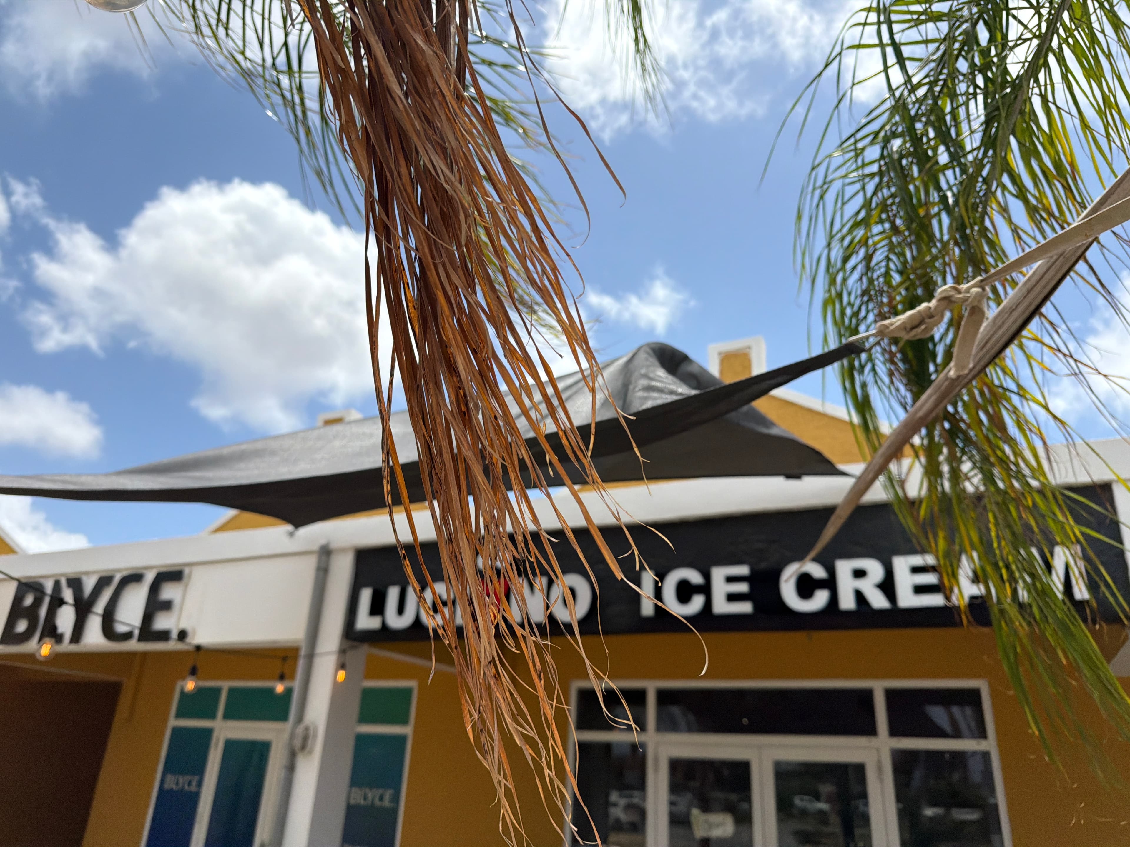 Finding the best ice cream on Bonaire