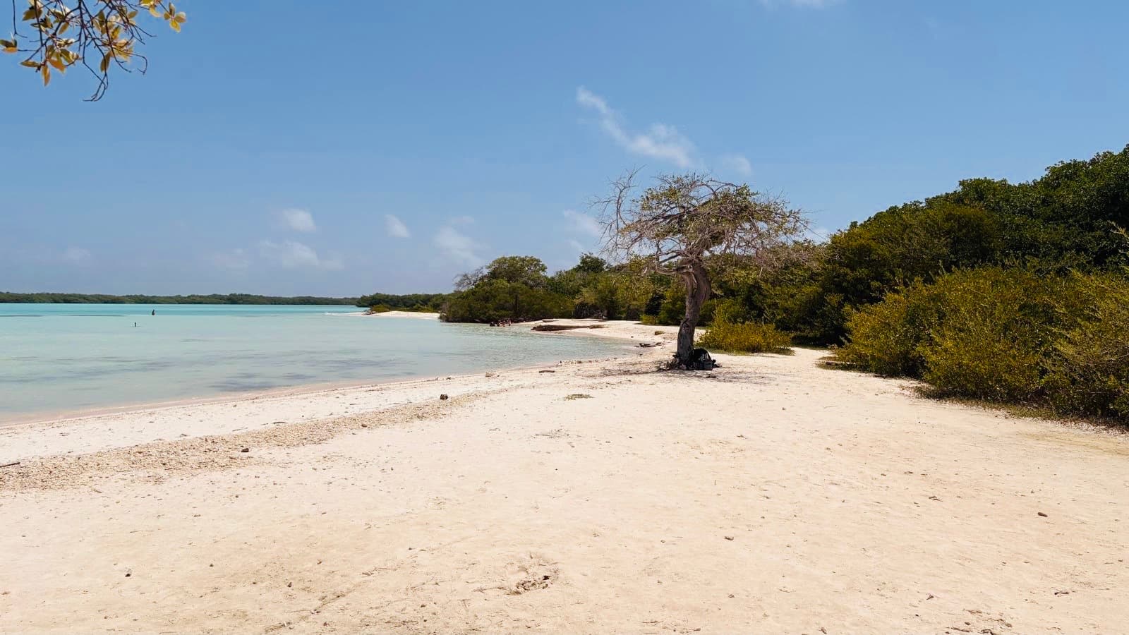 Lac Cai Op Bonaire: de rustige kant van de baai