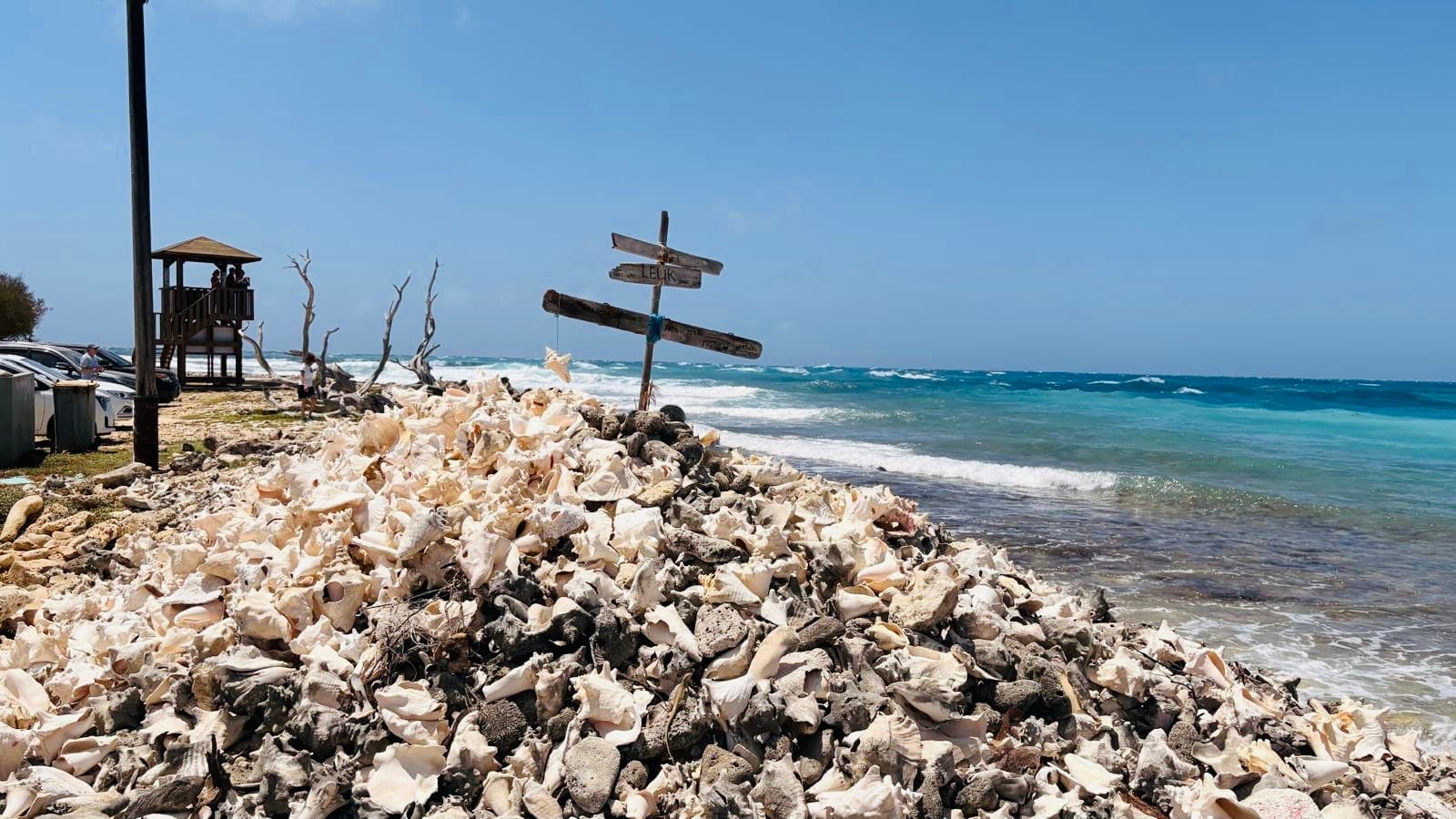 Lac Bay Bonaire: Wind, water en wilde Mangroven